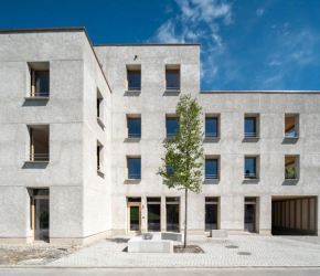 Green studio inside Europes largest hemp building, made by openly